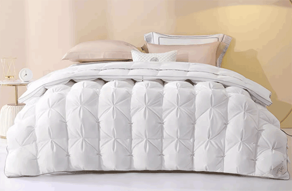 1767045034192282.png 1692864123672.png